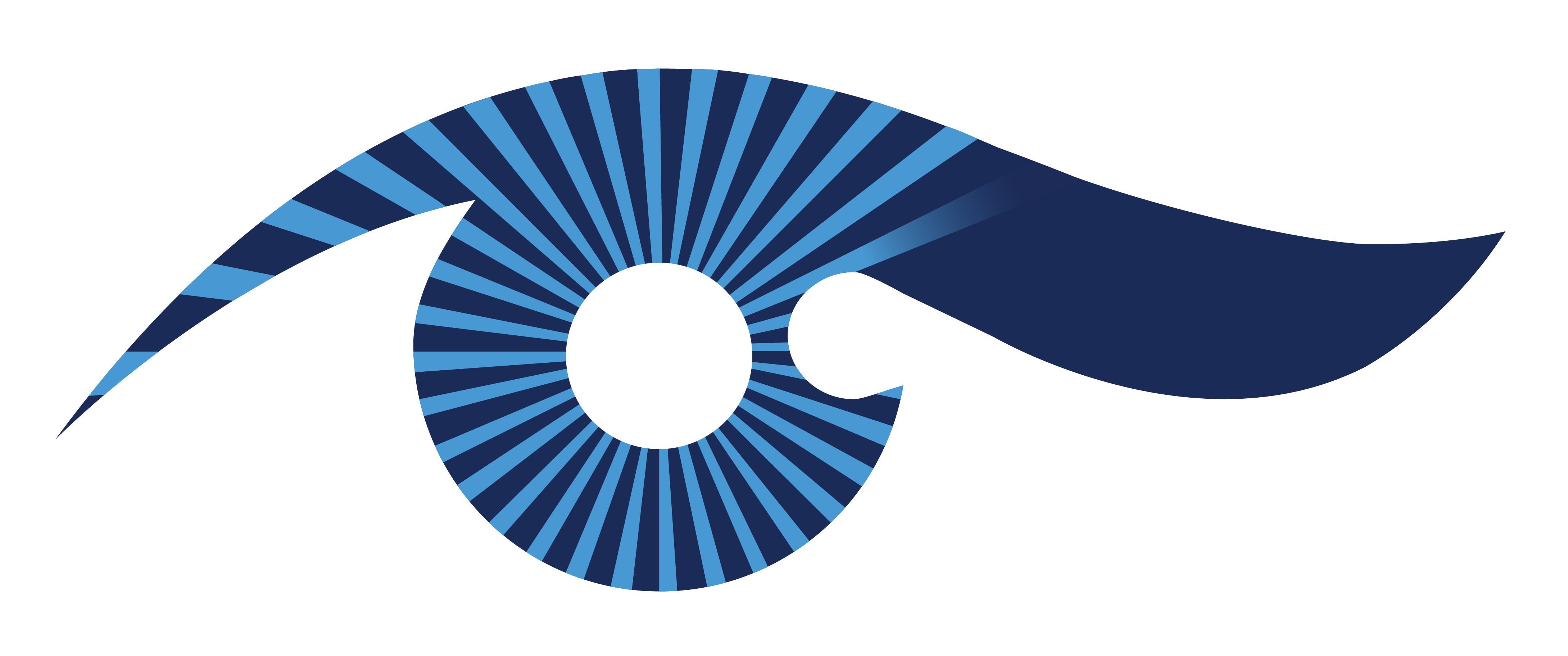 Dr Michael Djan - Official Logo